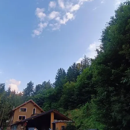 In Nature